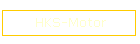 HKS-Motor
